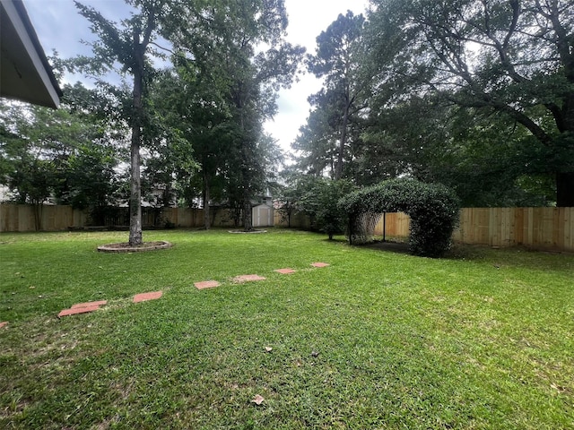 7107 Grant Dr, Magnolia, TX 77354 - view of yard