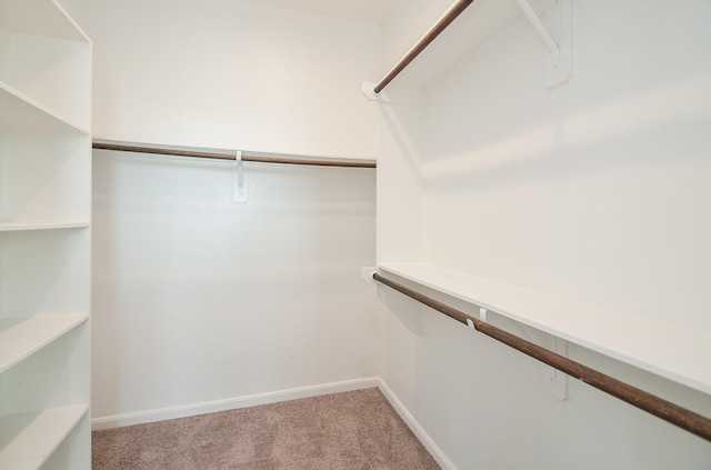 5203 Prairie Terrace Ln, Fulshear, TX 77441 - walk in closet featuring light carpet
