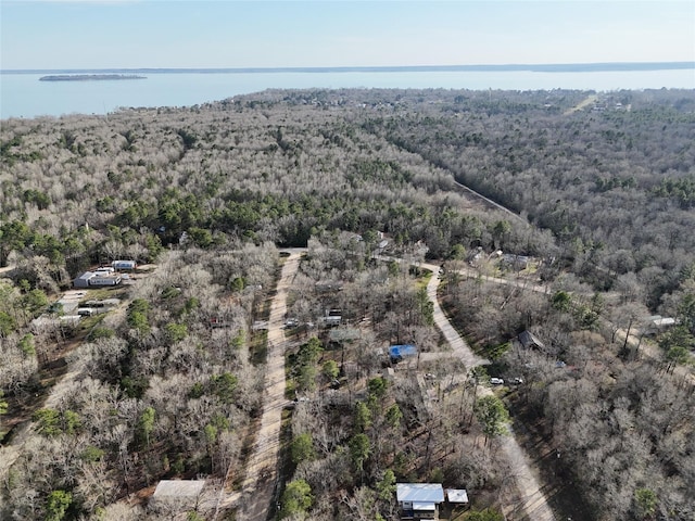 TBD Alta Vista Dr, Livingston, TX 77351 - photo 1