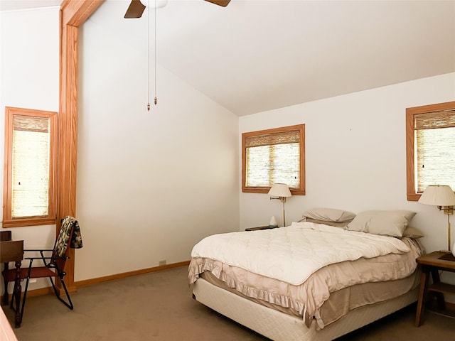 6019 County Road 374, Marquez, TX 77865 - photo 16
