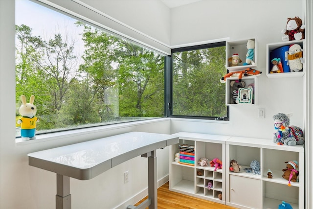 playroom featuring wood finished floors