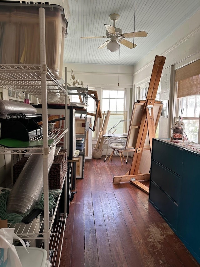 storage featuring a ceiling fan