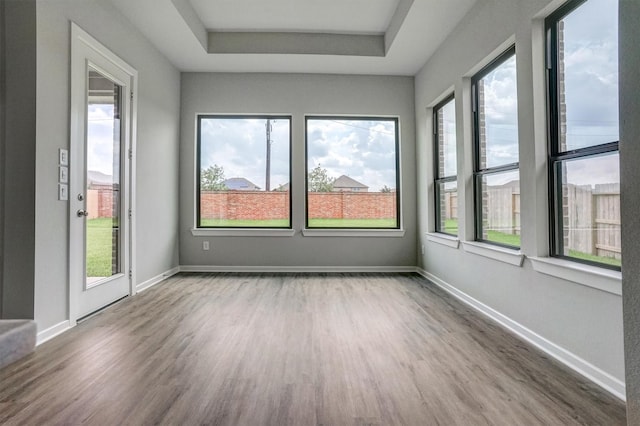 2904 Apple Rose, Katy, TX 77493 - empty room featuring plenty of natural light, wood finished floors, and a raised ceiling