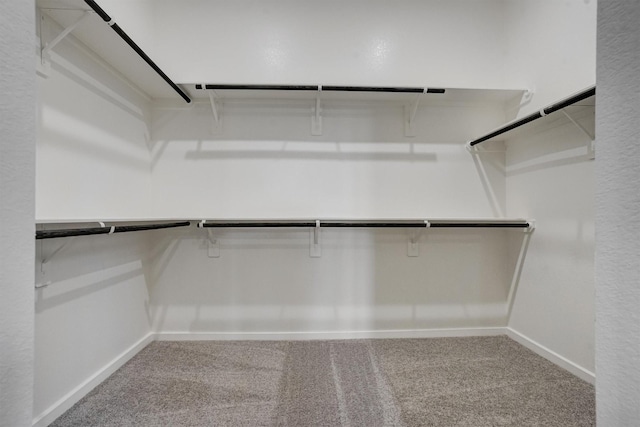 2904 Apple Rose, Katy, TX 77493 - walk in closet with carpet