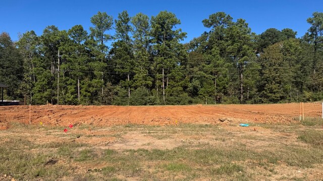 12219 Ridge Top Dr, Conroe, TX 77304 - view of local wilderness