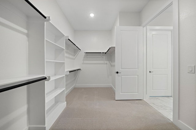 10017 Larkin Cv, Willis, TX 77318 - view of spacious closet