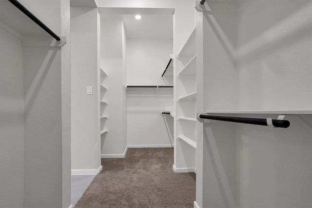 2916 Apple Rose, Katy, TX 77493 - walk in closet featuring carpet