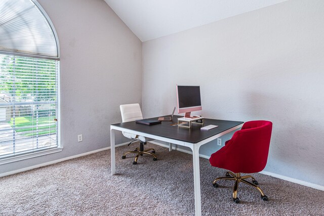 231 Spencer Lndg E, La Porte, TX 77571 - carpeted office space featuring vaulted ceiling and baseboards