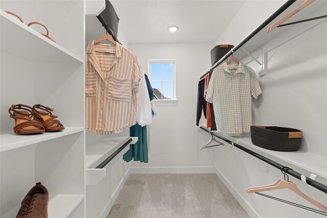 spacious closet with light carpet