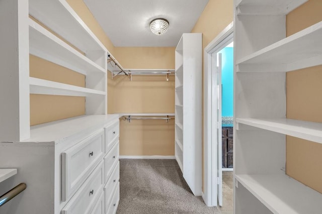 walk in closet with light colored carpet