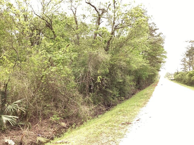 0 County Road 4876, Dayton, TX 77535 - photo 6