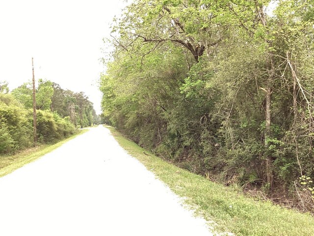0 County Road 4876, Dayton, TX 77535 - photo 7