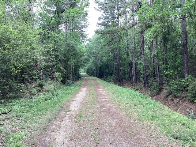 0 County Road 4876, Dayton, TX 77535 - photo 8