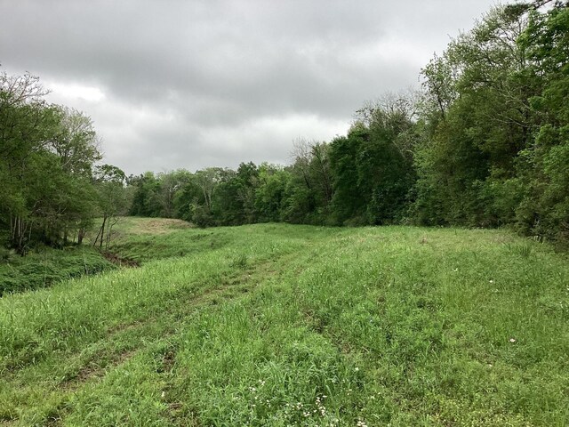 0 County Road 4876, Dayton, TX 77535 - photo 31