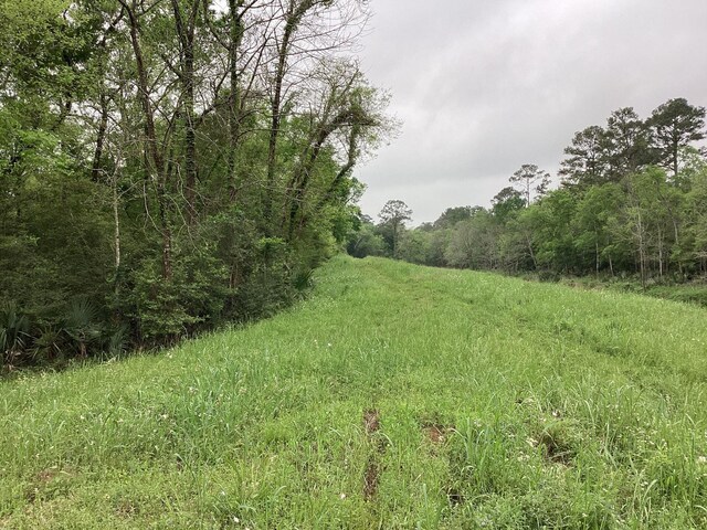 0 County Road 4876, Dayton, TX 77535 - photo 19