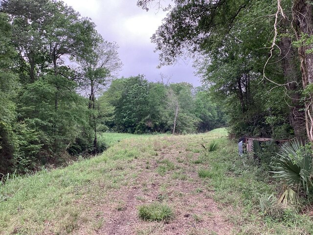 0 County Road 4876, Dayton, TX 77535 - photo 24