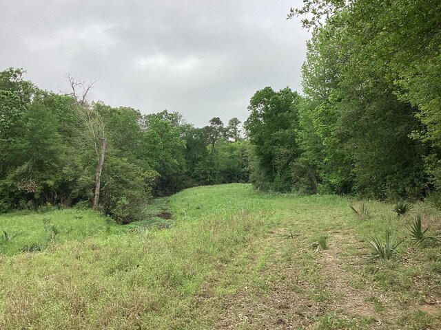 0 County Road 4876, Dayton, TX 77535 - photo 25