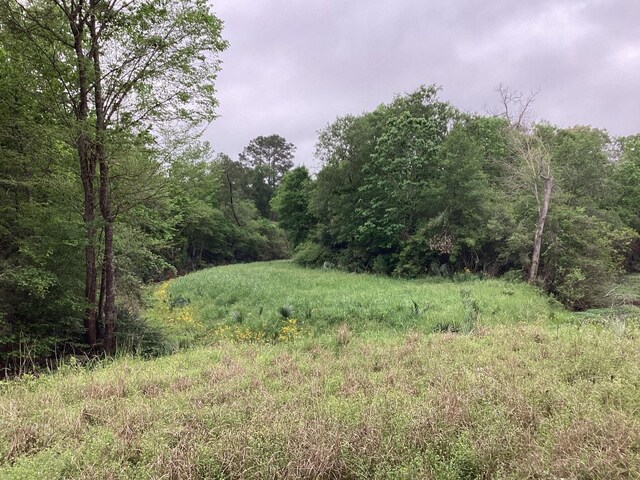 0 County Road 4876, Dayton, TX 77535 - photo 27