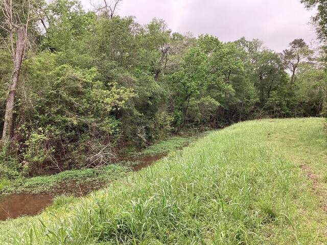 0 County Road 4876, Dayton, TX 77535 - photo 33