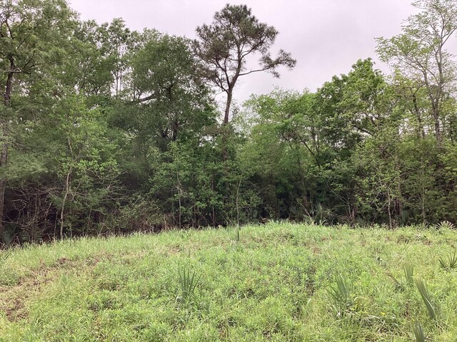 0 County Road 4876, Dayton, TX 77535 - photo 34