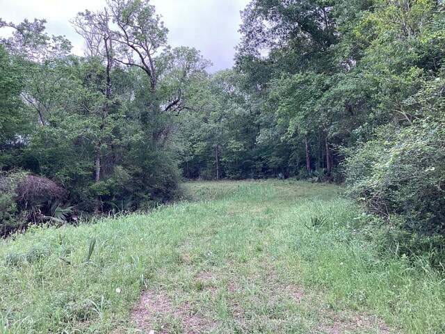 0 County Road 4876, Dayton, TX 77535 - photo 35
