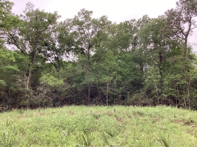 0 County Road 4876, Dayton, TX 77535 - photo 36