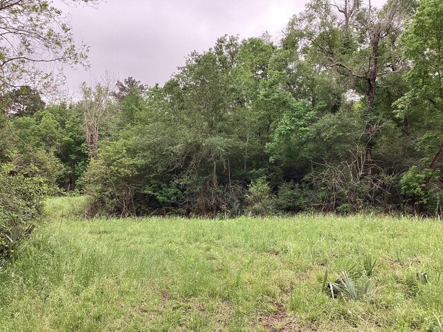 0 County Road 4876, Dayton, TX 77535 - photo 37