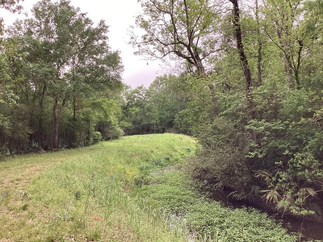 0 County Road 4876, Dayton, TX 77535 - photo 28