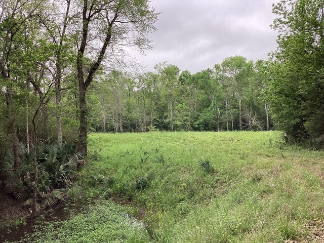 0 County Road 4876, Dayton, TX 77535 - photo 29