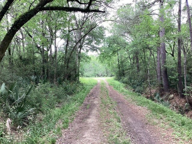 0 County Road 4876, Dayton, TX 77535 - photo 9