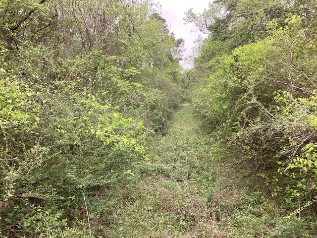 0 County Road 4876, Dayton, TX 77535 - photo 10