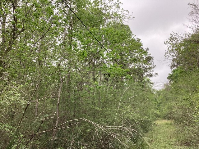 0 County Road 4876, Dayton, TX 77535 - photo 11