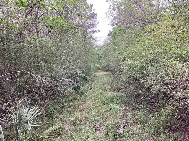 0 County Road 4876, Dayton, TX 77535 - photo 12