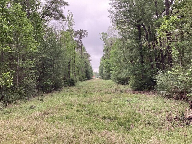 0 County Road 4876, Dayton, TX 77535 - photo 14