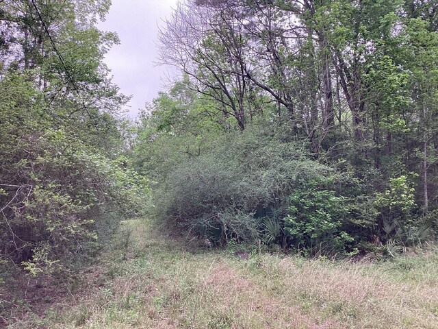 0 County Road 4876, Dayton, TX 77535 - photo 13