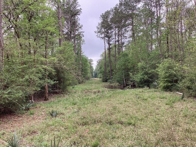 0 County Road 4876, Dayton, TX 77535 - photo 15