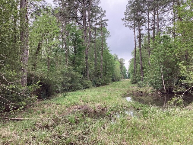 0 County Road 4876, Dayton, TX 77535 - photo 26
