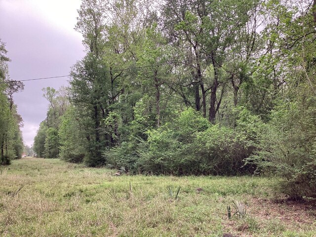 0 County Road 4876, Dayton, TX 77535 - photo 16