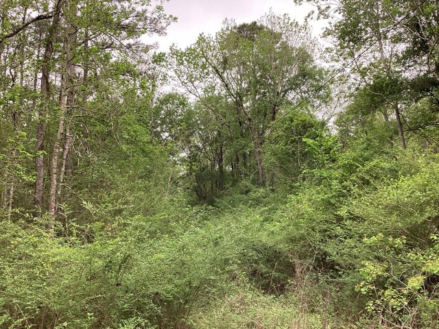 0 County Road 4876, Dayton, TX 77535 - photo 17