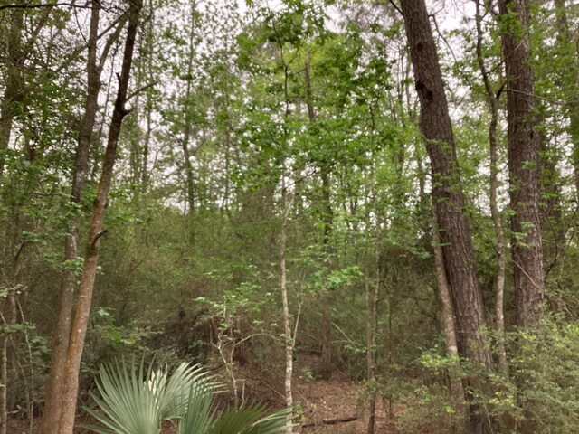 0 County Road 4876, Dayton, TX 77535 - photo 18
