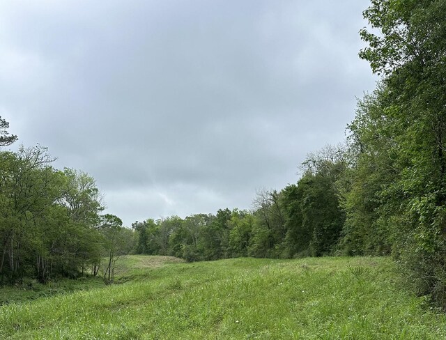 0 County Road 4876, Dayton, TX 77535 - photo 20