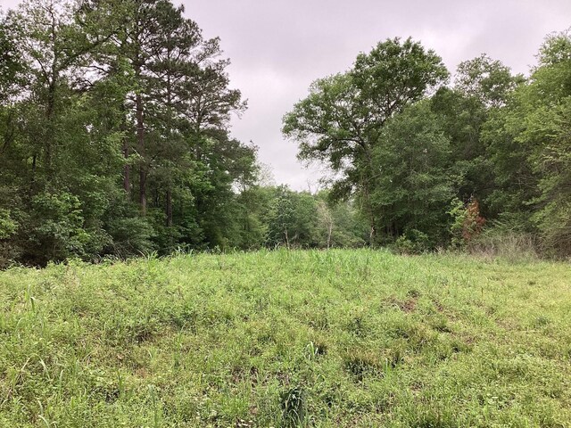 0 County Road 4876, Dayton, TX 77535 - photo 21