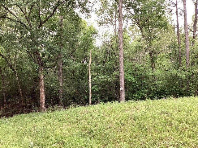 0 County Road 4876, Dayton, TX 77535 - photo 22