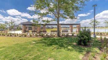 1536 River Point Dr, Friendswood, TX 77546 - view of green lawn
