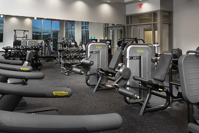 29026 Zacate Creek Ln, Fulshear, TX 77441 - view of workout area
