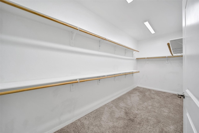 29026 Zacate Creek Ln, Fulshear, TX 77441 - walk in closet featuring carpet floors