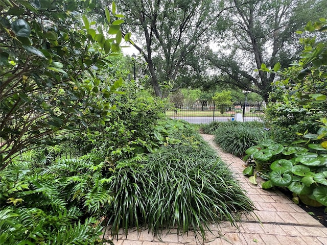 1101 Heights Blvd, Houston, TX 77008 - view of community