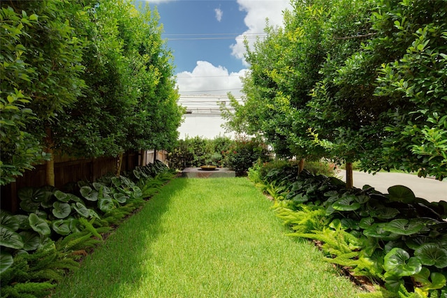 1101 Heights Blvd, Houston, TX 77008 - view of yard