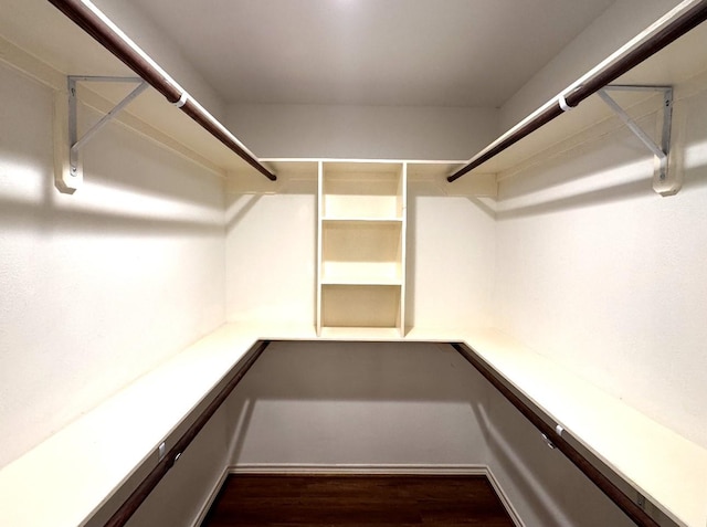 spacious closet with dark wood-style flooring