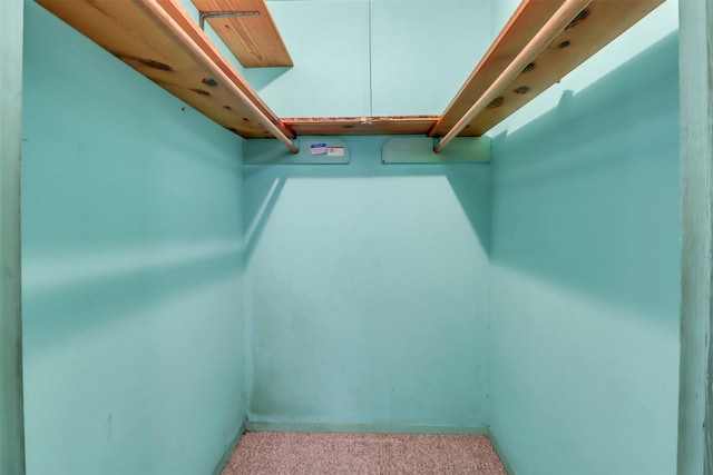 2509 Bayou Ave, Baytown, TX 77520 - walk in closet featuring carpet